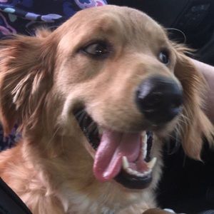 Meet your Posher, Billie